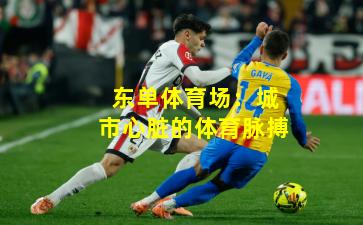 东单体育场:城市心脏的体育脉搏